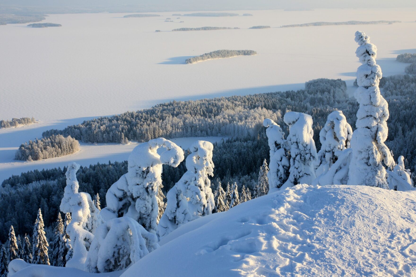Read more about the article Kolin kansallispuisto: luonnon ja historian syliin