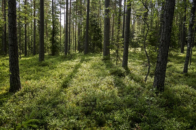 Lähiseutu on mielenkiintoista